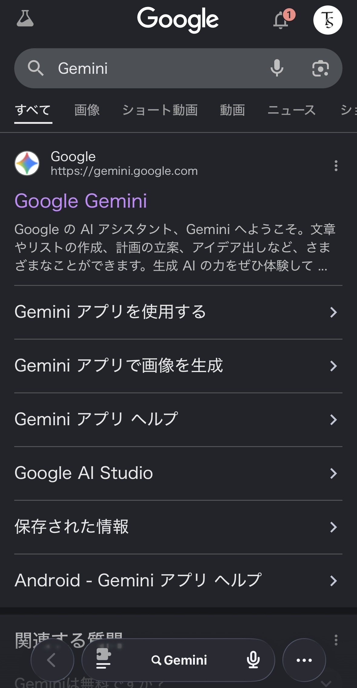 Gemini検索結果